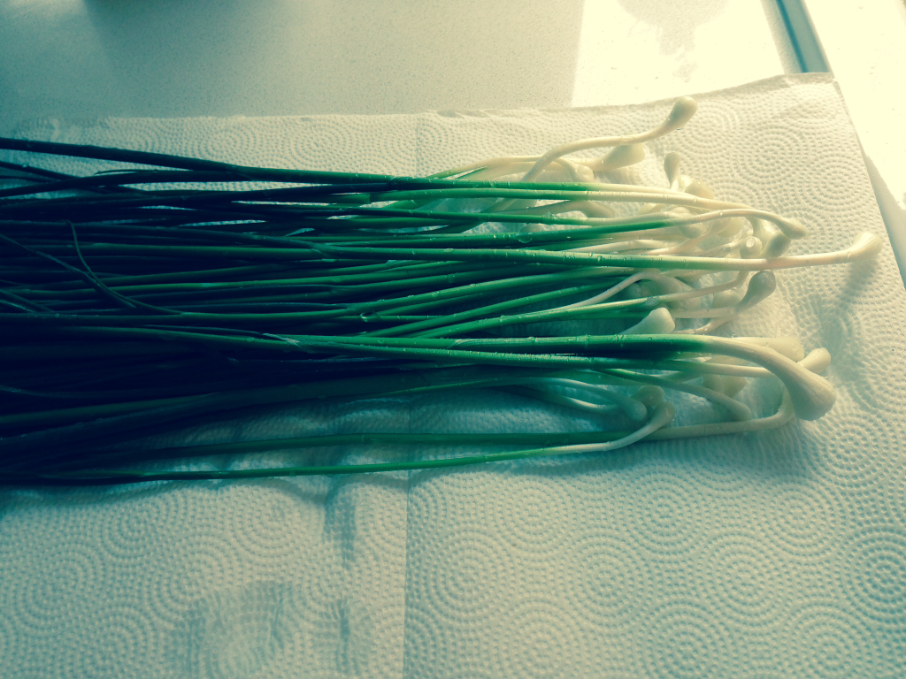 Spring Onions from Hope's Garden